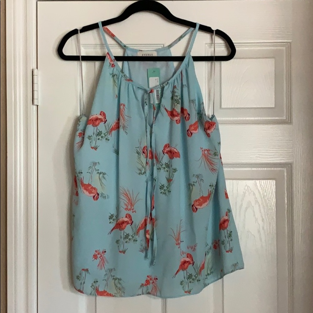 Silky Flamingo Tank